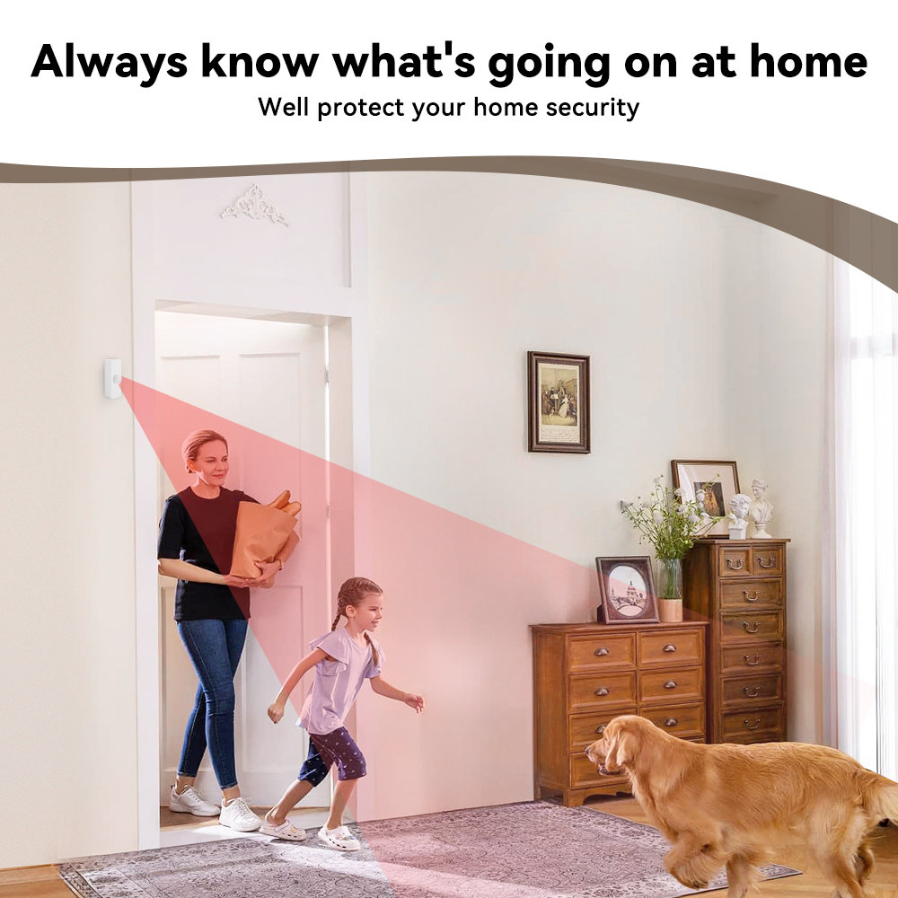 Tuya Smart PIR Motion Sensor S - Pir Motion Sensor review and price